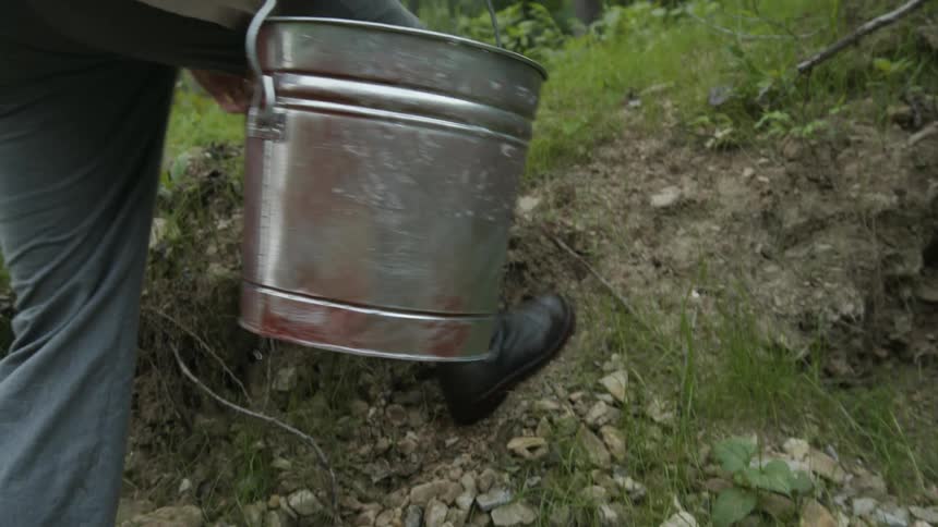 A man with a bucket walking in the forest with trees the sky and clouds in the background