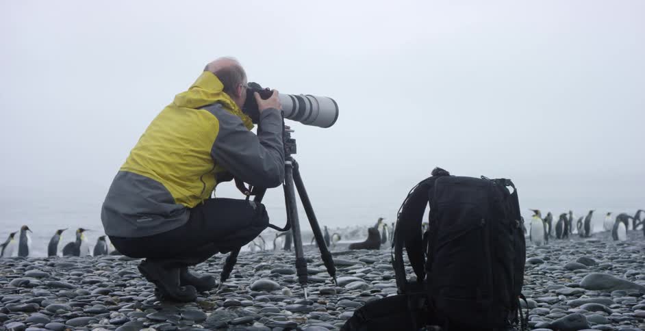 A man is crouching taking photographs of penguins on the shore