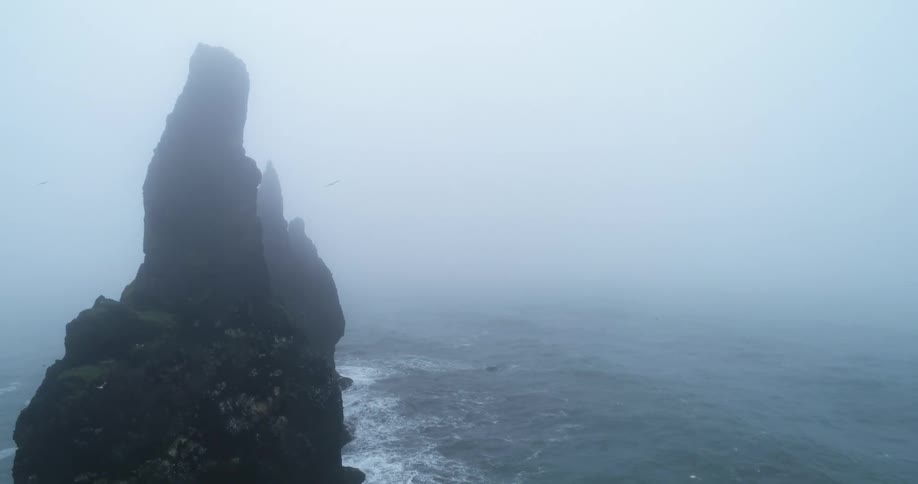 Birds fly around the rock formation on a foggy day