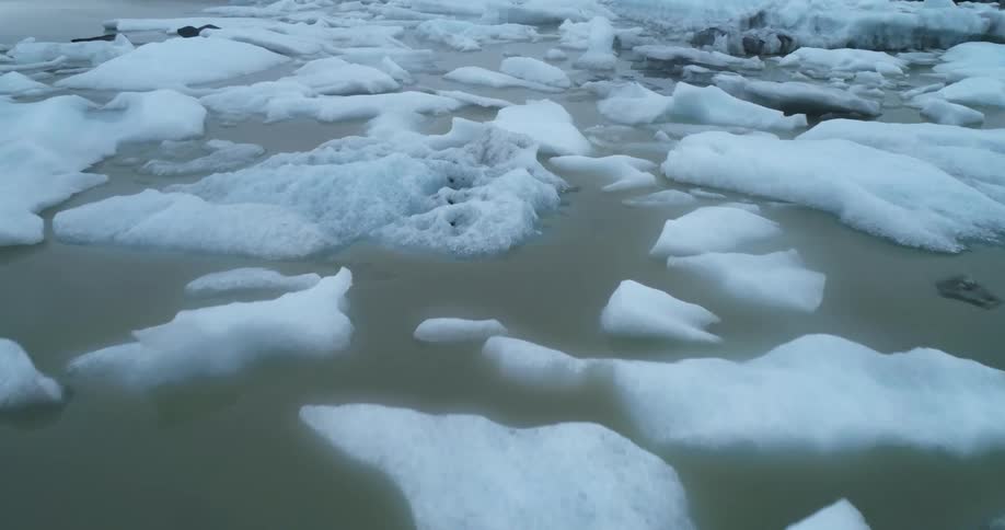 A body of water with glaciers snow and ice