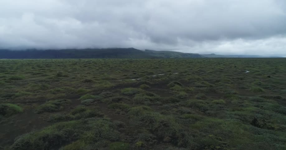 An aerial view of a landscape full of trees