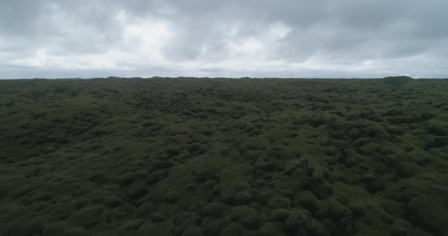Forest covers hilly landscape to horizon under an overcast sky