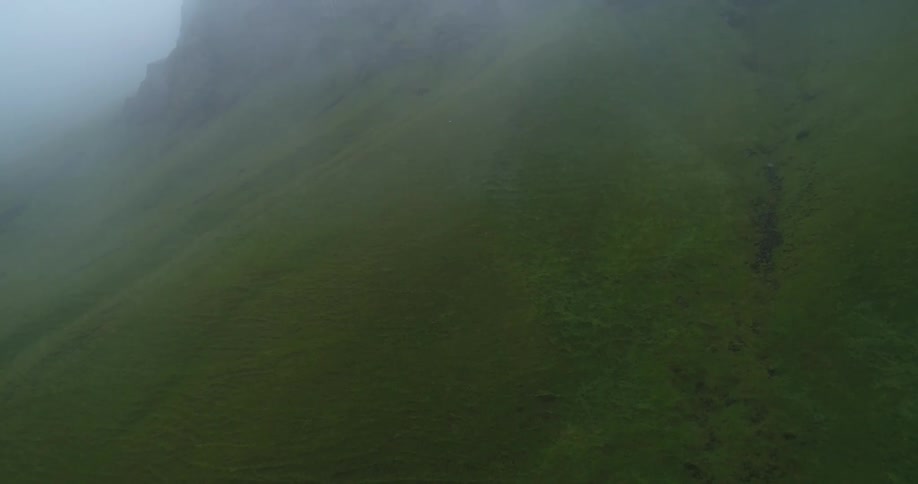 Birds fly above a foggy hill