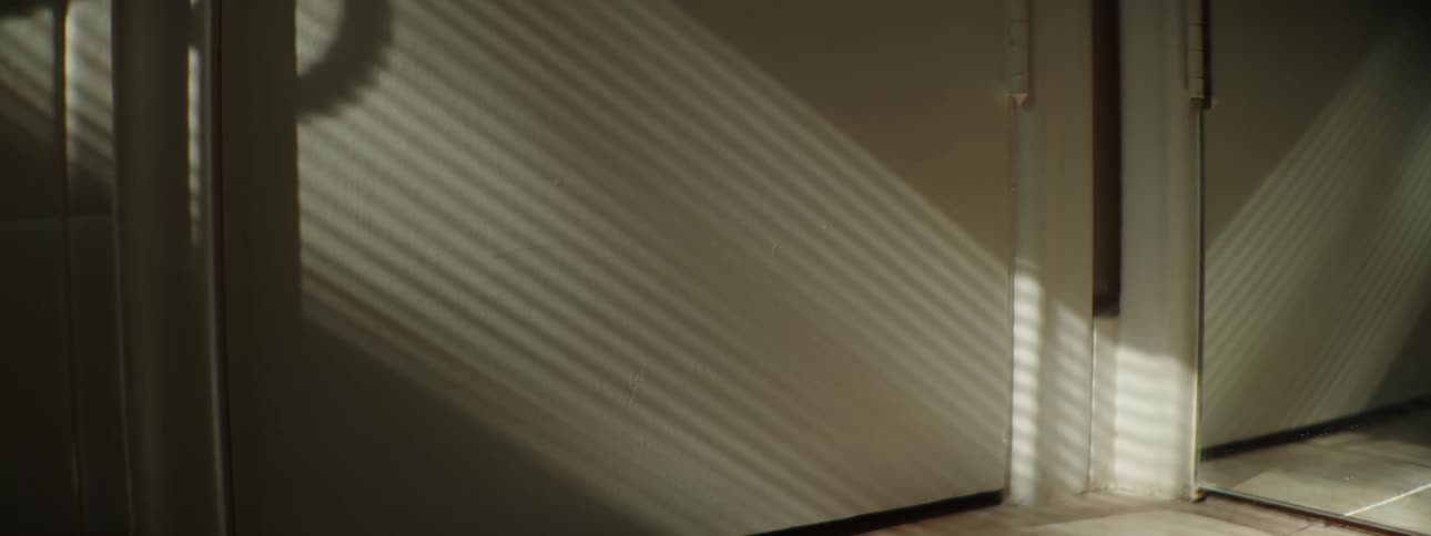 In a home the sun is casting shadow patterns onto a door and being reflected in a mirror