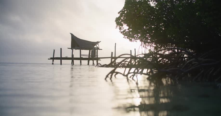An old wooden dock on the shore