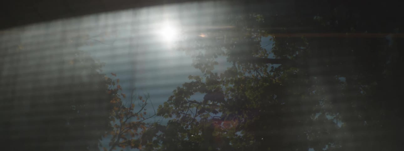 A glowing sun in the sky above trees seen through a window with screen