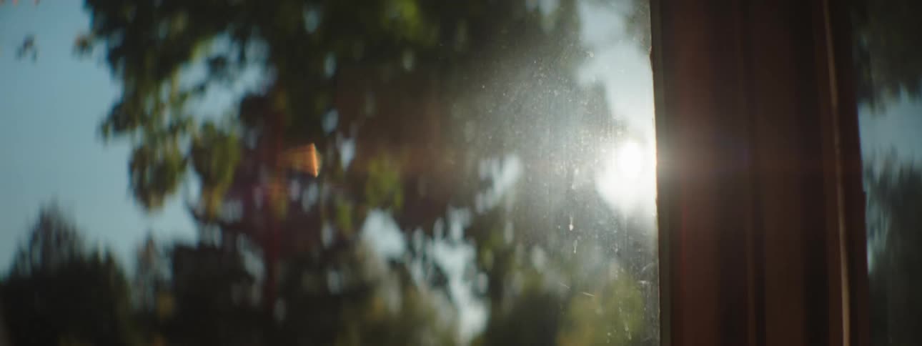 A view of light shining through trees