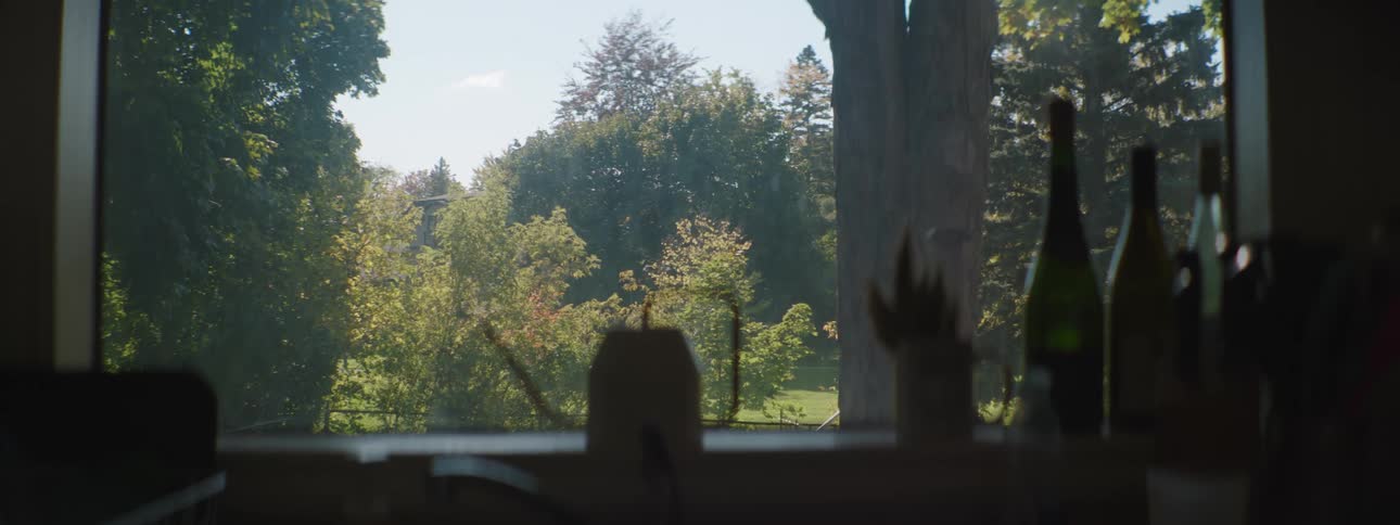 Trees on a small forest seen through a window from a room in a house