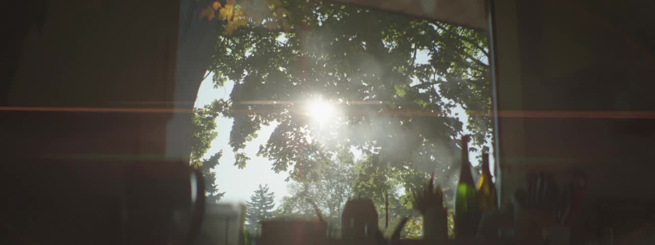 Outside the window is a large tree