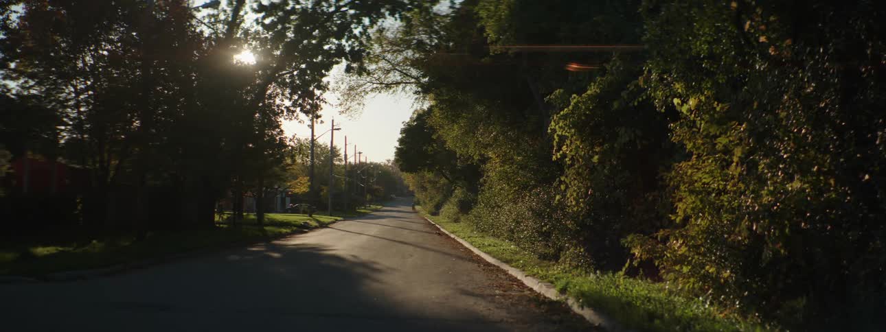 A view down a road with trees on either side