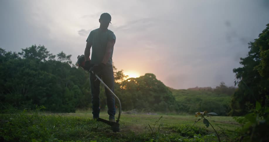 Man cuts vegetation using gas powered trimmer back lit by sun sitting on horizon