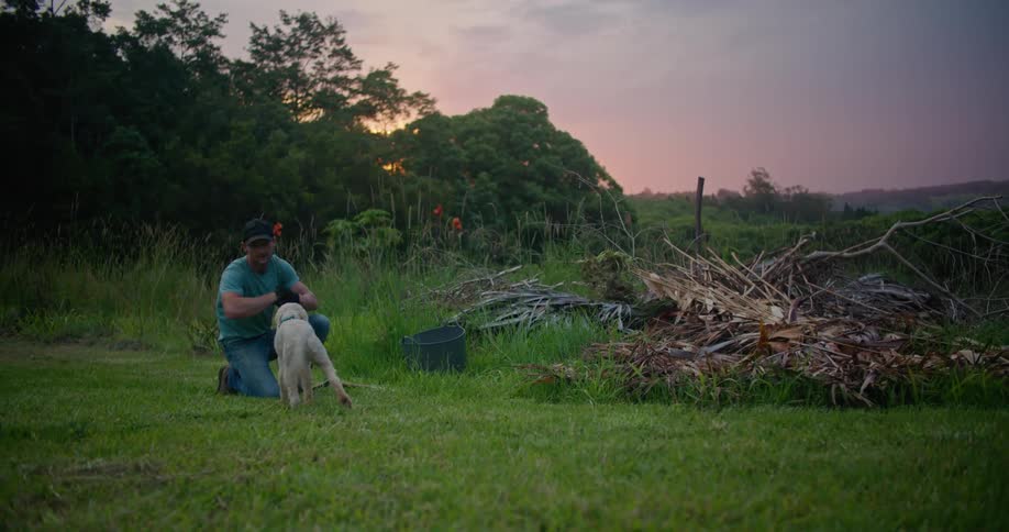 Man working in field near vegetation debris kneels to pet dog as sun turns sky red in background