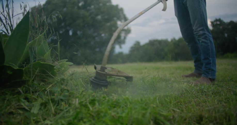 Someone wearing blue jeans is using an electric weed trimmer to trim around a plant