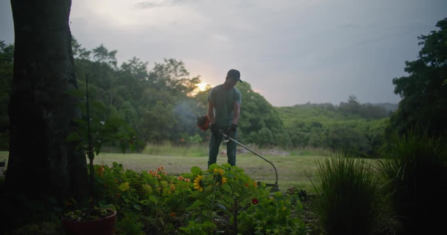 A man is cutting the grass by the garden