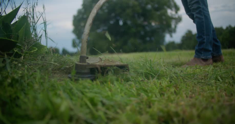 A man uses a weed wacker to trim grass around a bush near a forest