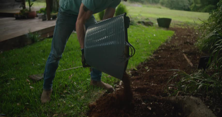 A man pours dirt from a large plastic tub around bushes in his yard