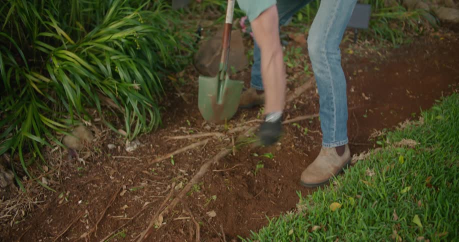 A man wearing a black baseball cap and gloves is digging with a shovel