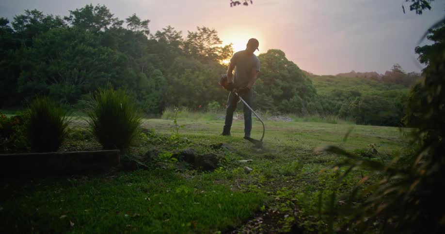 Man runs weed trimmer over grass in field near garden plants backlit by sun sitting in red sky