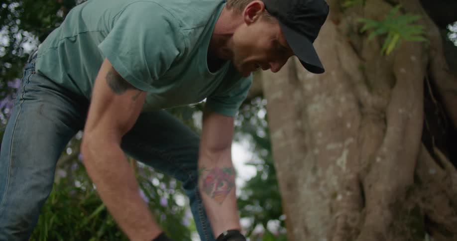 A man wearing a black baseball cap and gloves is pulling roots out of the ground