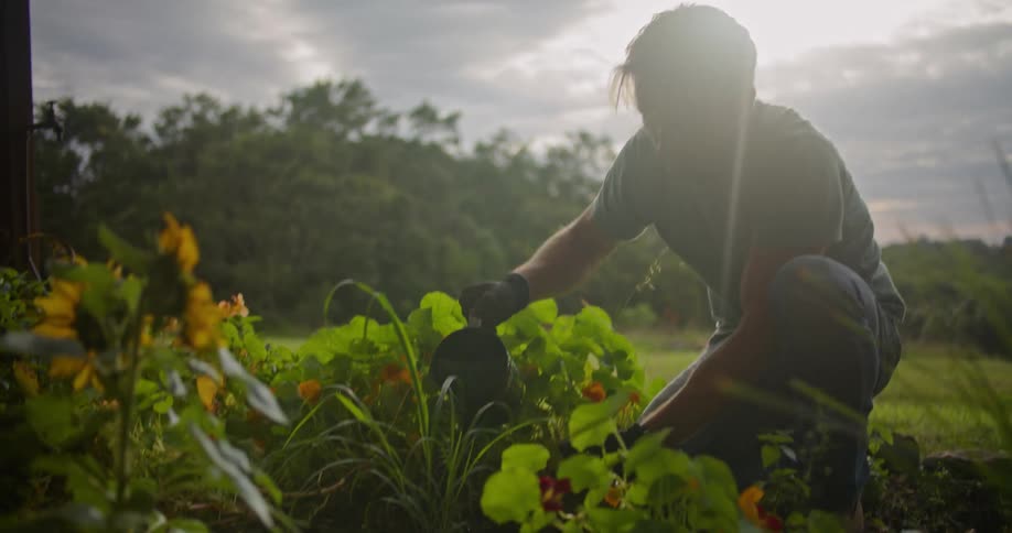 A man planting flowers outdoors