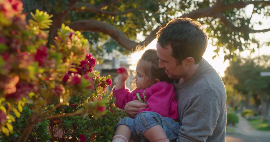 Father holding daughter on his arms helps her pick up flowers from a bush in the neighborhood at sunset