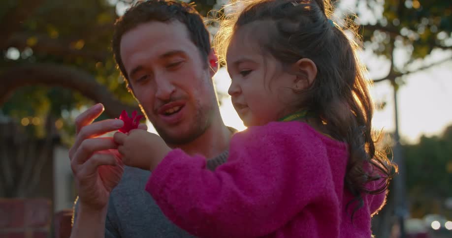 Father and daughter picking flowers from a bush in the neighborhood at sunset