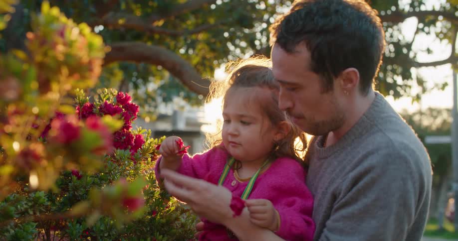Father and daughter picking flowers from the bushes in the backyard at sunset