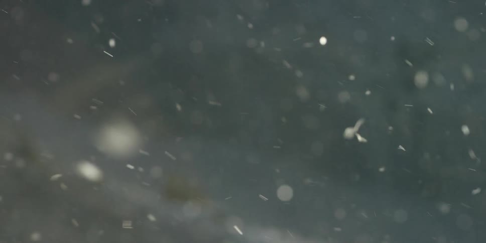 Dust floats around in a lit area