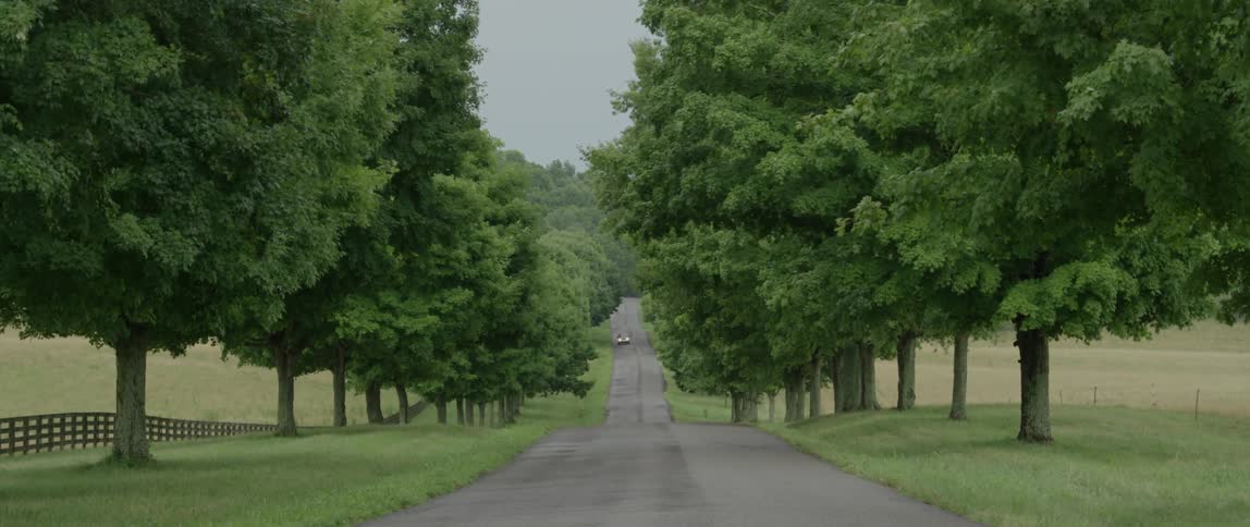 Car driving down a back road surrounded by tall green trees
