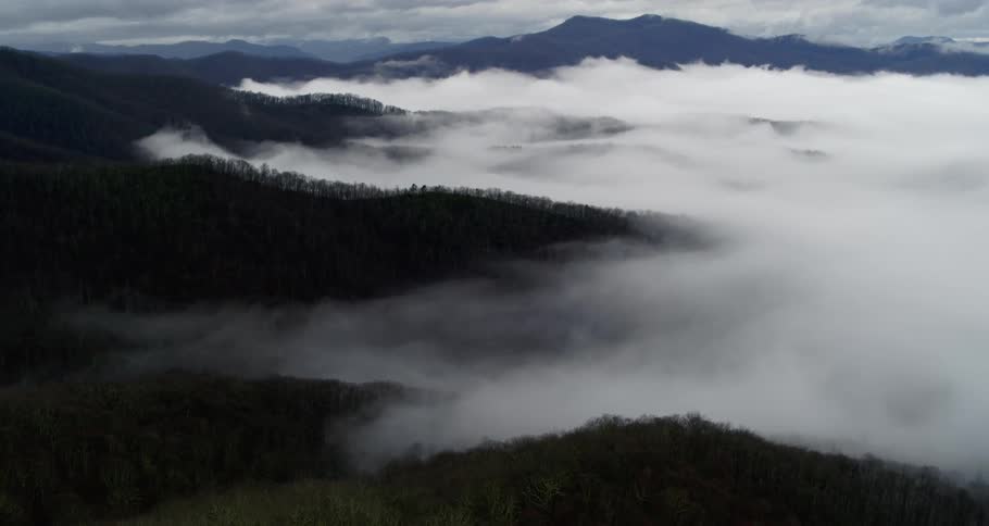 An aerial view of forest with very thick fog and mountains in the background on a cloudy day