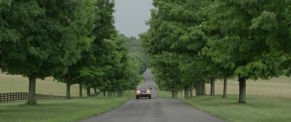 A pickup truck drives down a narrow tree lined road