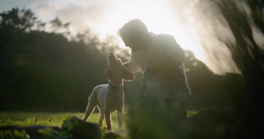 A man pets his dog on a sunny day