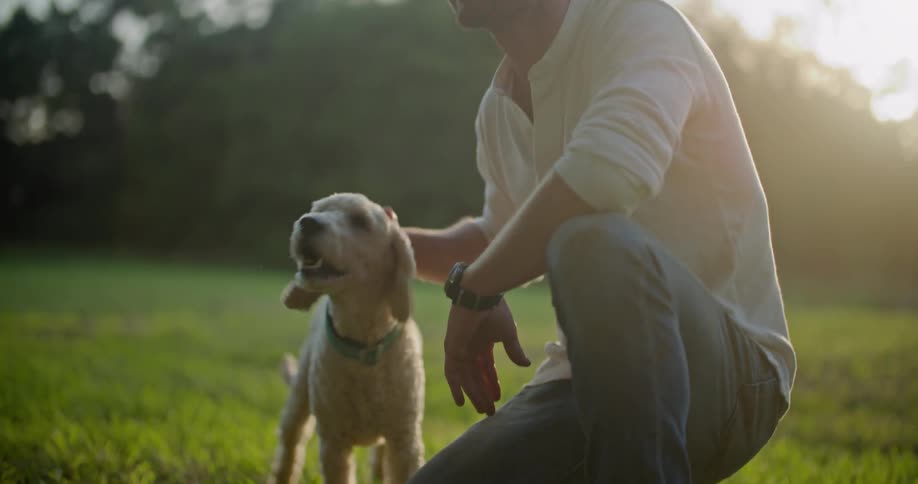 A man pets his dog on the field
