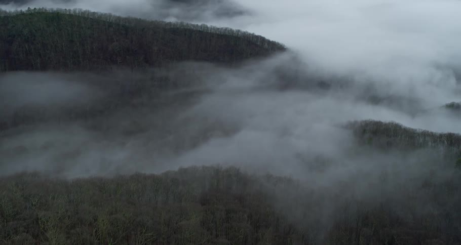 Fog and mist from the clouds hanging over the forest in the mountain slopes