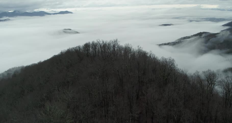 Tree covered peaks lead to a valley off thick cloud cover