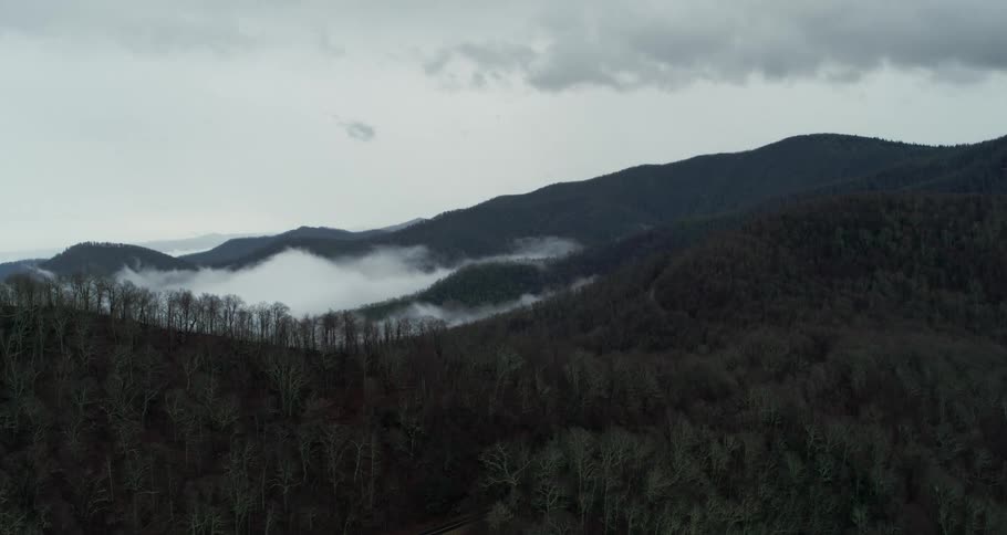 An aerial view of a mountain forest during the fall season on a cloudy day