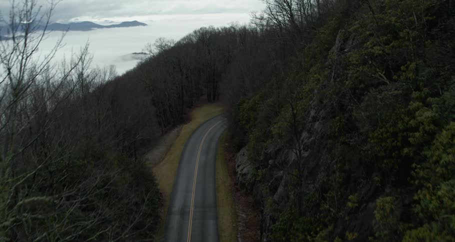 Road passes along mountain side through forest of leafless trees with peaks showing through low lying clouds