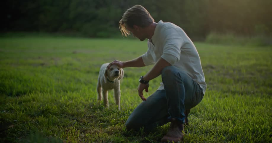 Man raking the leaves on his backyard stops to kneel down and pet a white dog