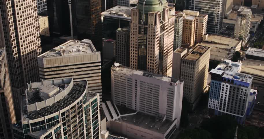 Aerial view of city office buildings next to forest