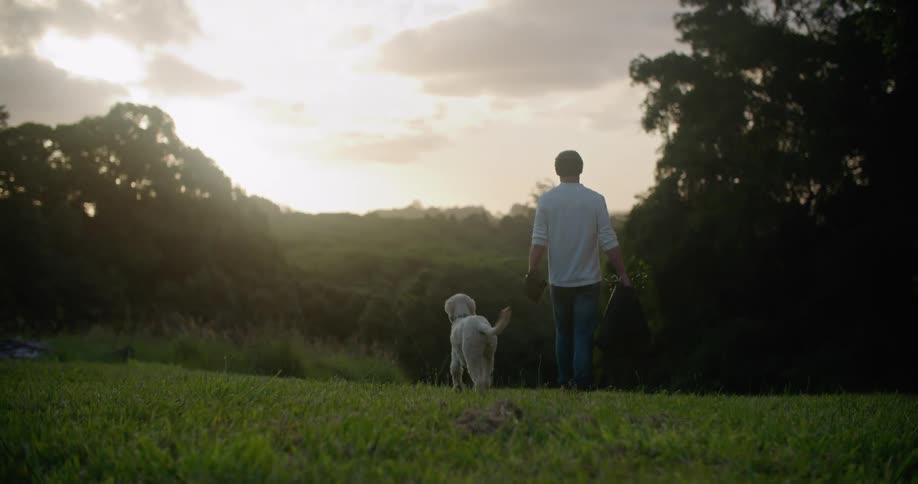 Dog waits then follows man walking across field carrying shovel and bush