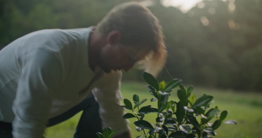 A man is holding a plant in his hands and puts it into a hole in the ground and fills it in with dirt