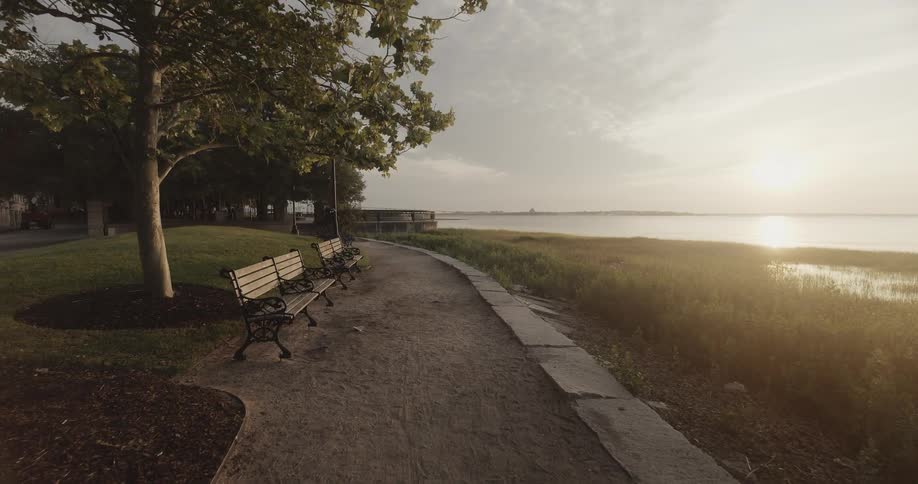 Benches are under a tree overlooking the ocean as the sun shines brightly in the distance