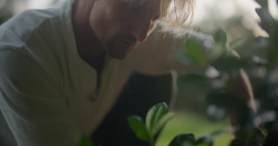 Man wearing gloves plants bush among grass