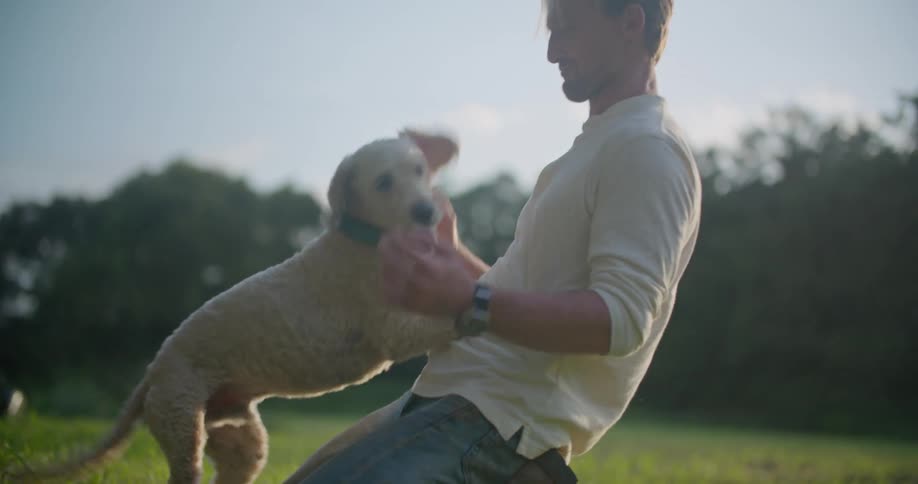Man plays with wire haired dog in field
