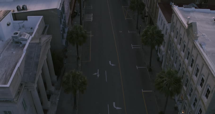 Palm trees line street separating low rise buildings
