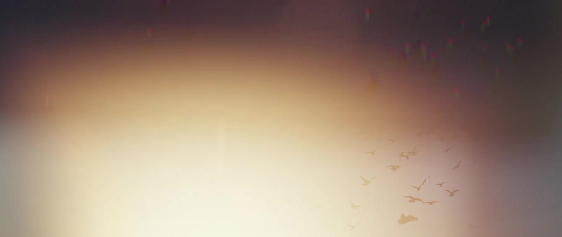 Birds fly around with the sun in the background