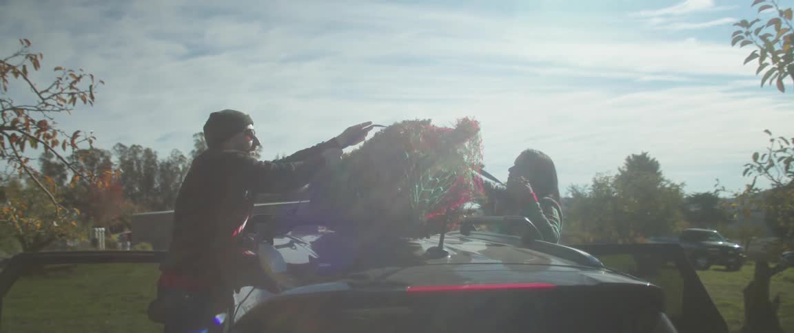 Man and woman strap down christmas tree onto top of car