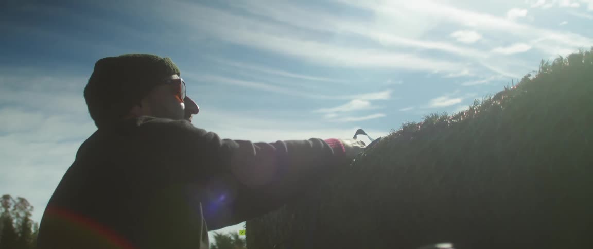 Man securing a christmas tree on the roof of a car
