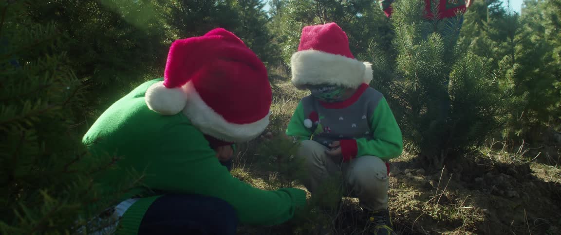 People including a kid examine trees growing at tree farm