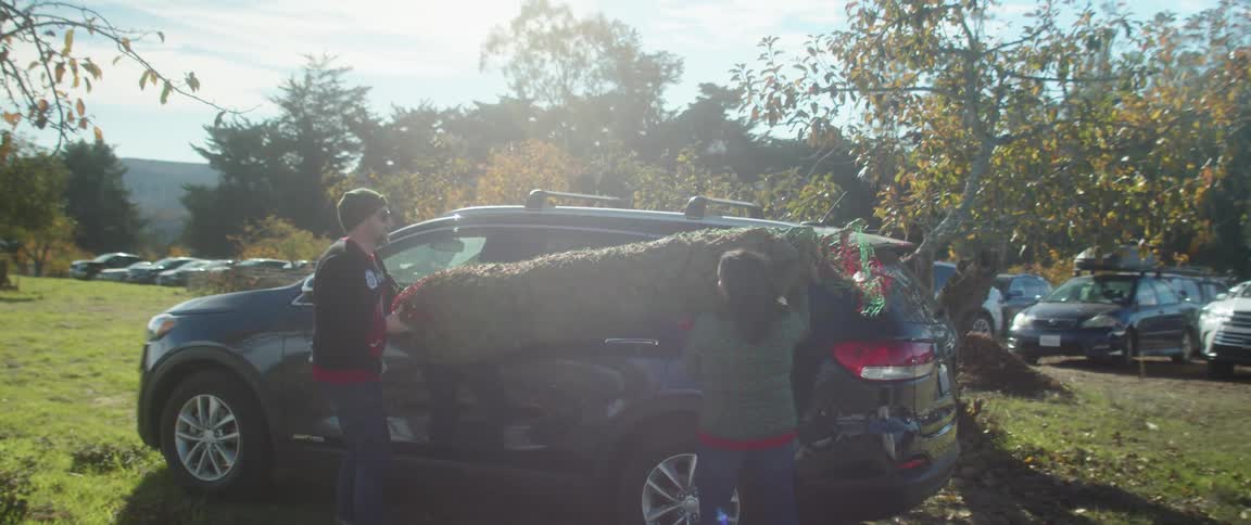 Young couple loading a packed christmas tree on the roof of a car